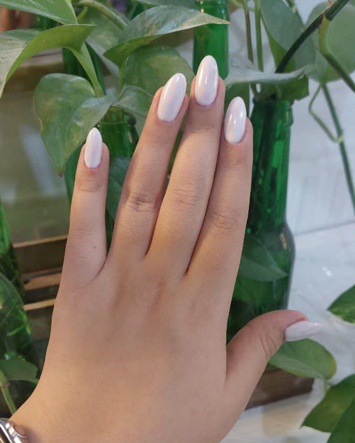 نمونه کار آیدا